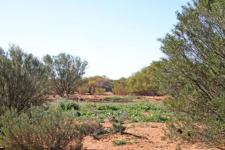 Seventh view of Homely land listing, 1040 Bookpurnong Road, Loxton SA 5333