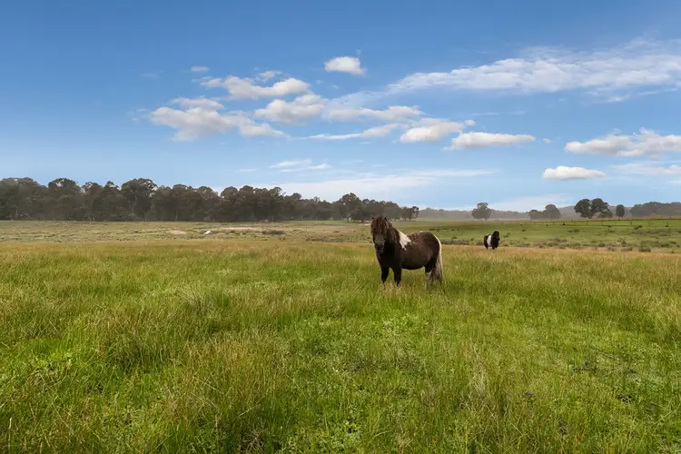 Second view of Homely rural property listing, 204 Swanpool Road, Swanpool VIC 3673