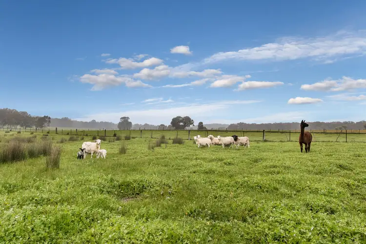 Fourth view of Homely rural property listing, 204 Swanpool Road, Swanpool VIC 3673