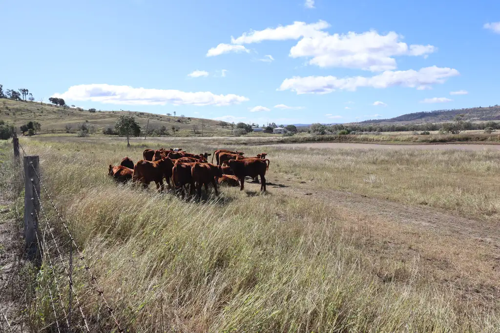 Main view of Homely land listing, 19 Jims Road, Blenheim QLD 4341