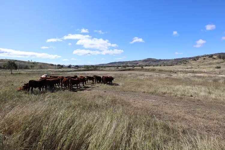 Seventh view of Homely land listing, 19 Jims Road, Blenheim QLD 4341