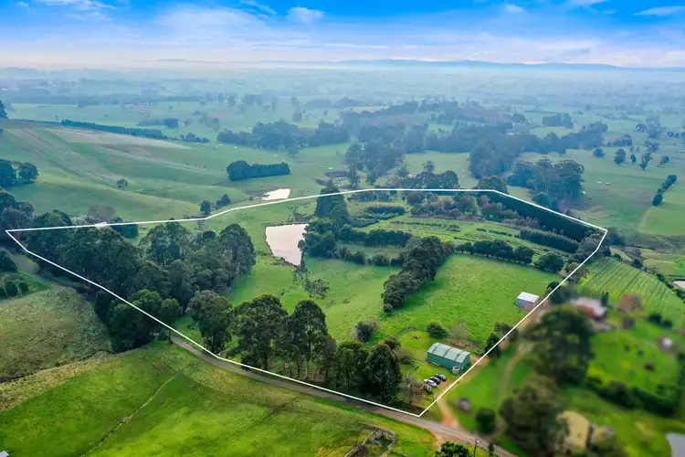 Main view of Homely rural property listing, 161 PETERSONS ROAD, Ellinbank VIC 3821