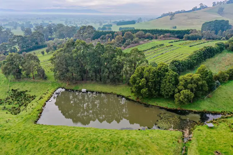 Second view of Homely rural property listing, 161 PETERSONS ROAD, Ellinbank VIC 3821