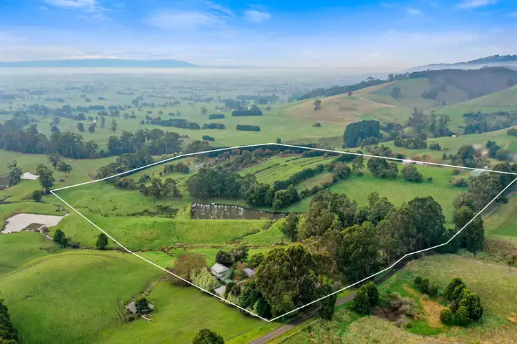 Third view of Homely rural property listing, 161 PETERSONS ROAD, Ellinbank VIC 3821
