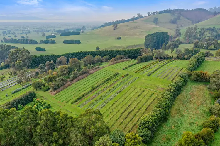 Fourth view of Homely rural property listing, 161 PETERSONS ROAD, Ellinbank VIC 3821