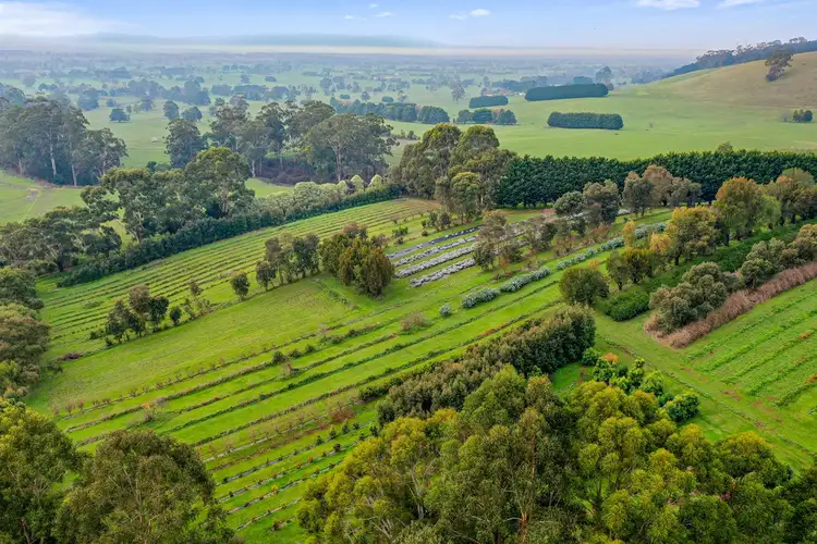 Fifth view of Homely rural property listing, 161 PETERSONS ROAD, Ellinbank VIC 3821