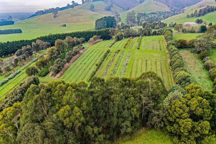 Sixth view of Homely rural property listing, 161 PETERSONS ROAD, Ellinbank VIC 3821