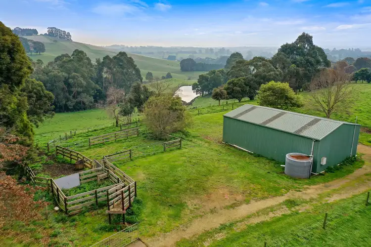 Seventh view of Homely rural property listing, 161 PETERSONS ROAD, Ellinbank VIC 3821