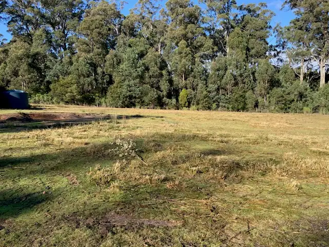 Fifth view of Homely land listing, 160 Morgan Road, Nook TAS 7306