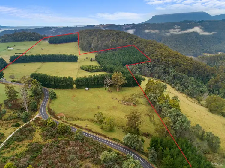 265 Cradle Mountain Road, Wilmot TAS 7310