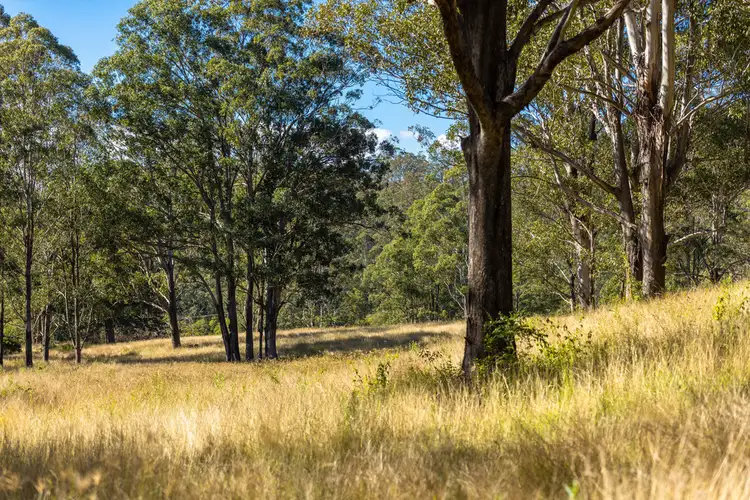 Main view of Homely rural property listing, 132 Bimbadeen Road, Wherrol Flat NSW 2429