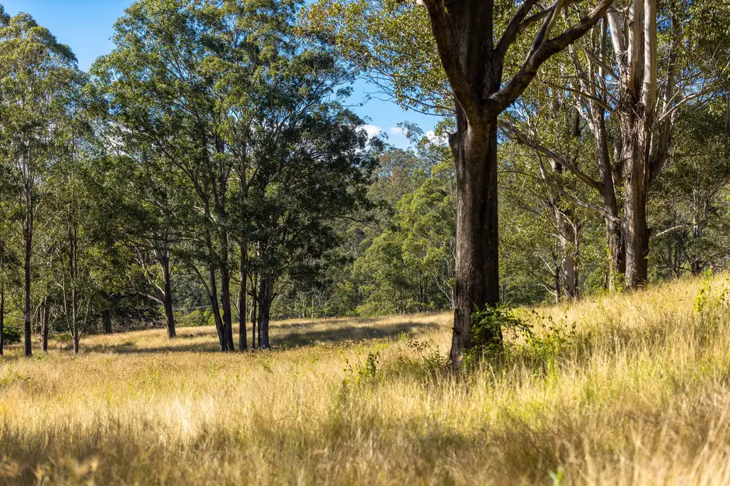 Main view of Homely rural property listing, 132 Bimbadeen Road, Wherrol Flat NSW 2429