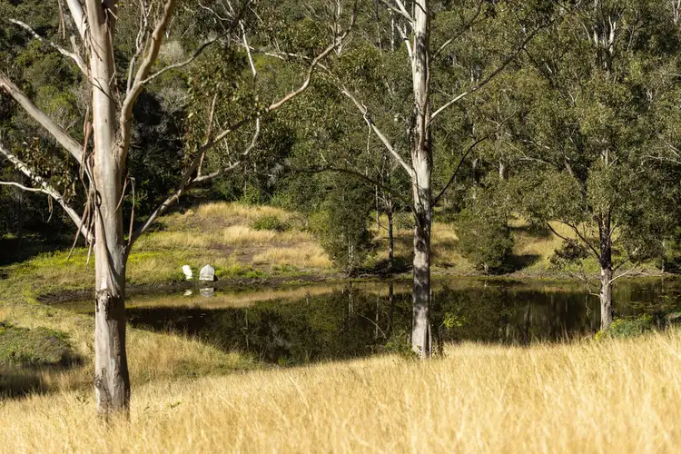 Third view of Homely rural property listing, 132 Bimbadeen Road, Wherrol Flat NSW 2429