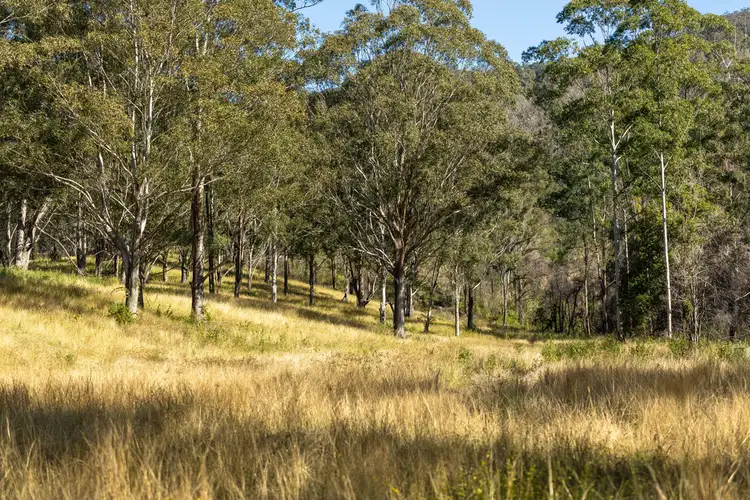 Seventh view of Homely rural property listing, 132 Bimbadeen Road, Wherrol Flat NSW 2429