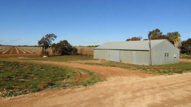 Main view of Homely rural property listing, 185 Thompson Road, Sunlands SA 5322