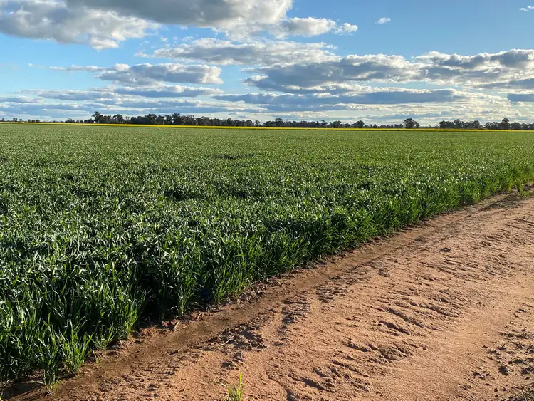 Sixth view of Homely rural property listing, Address available on request