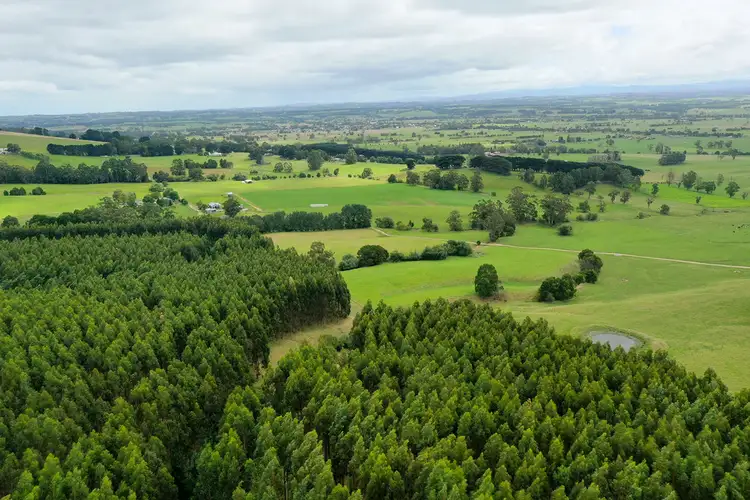 Main view of Homely rural property listing, Lot 1 WOMERSLEY ROAD, Yarragon South VIC 3823