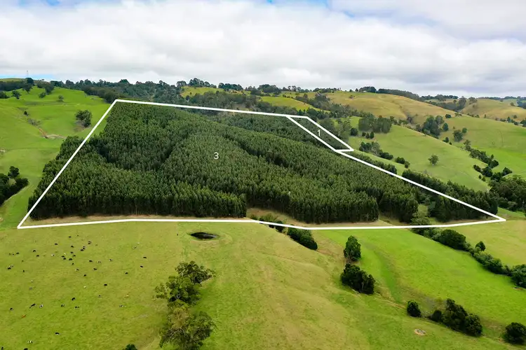 Second view of Homely rural property listing, Lot 1 WOMERSLEY ROAD, Yarragon South VIC 3823