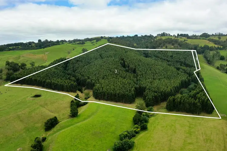 Third view of Homely rural property listing, Lot 1 WOMERSLEY ROAD, Yarragon South VIC 3823