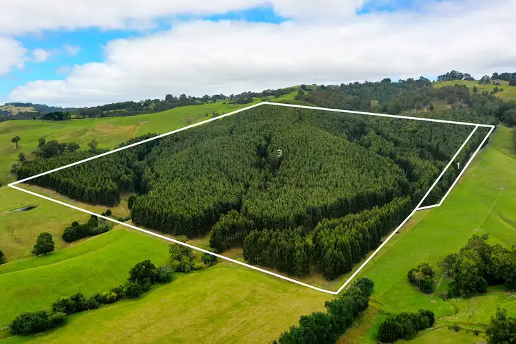 Fourth view of Homely rural property listing, Lot 1 WOMERSLEY ROAD, Yarragon South VIC 3823