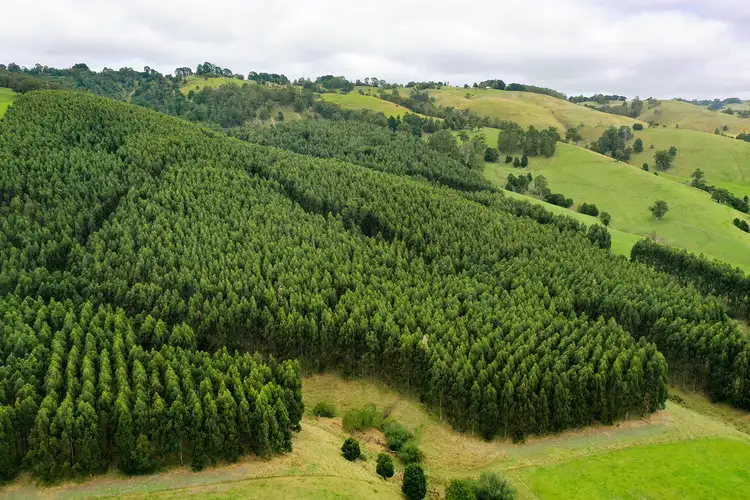 Fifth view of Homely rural property listing, Lot 1 WOMERSLEY ROAD, Yarragon South VIC 3823