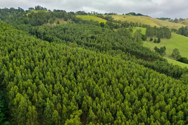 Sixth view of Homely rural property listing, Lot 1 WOMERSLEY ROAD, Yarragon South VIC 3823