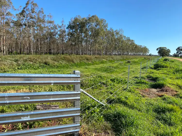 Seventh view of Homely rural property listing, Address available on request