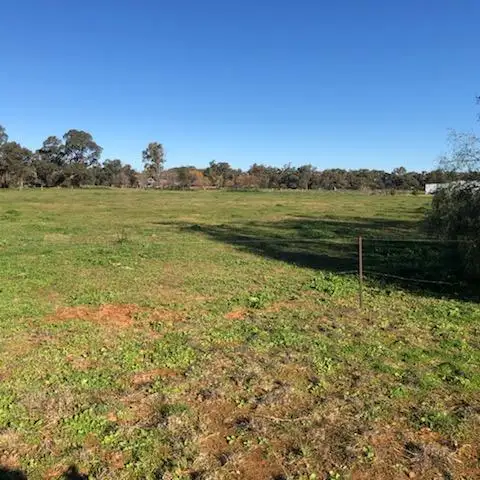 Main view of Homely rural property listing, Lot 13 Back Yamma, Parkes NSW 2870