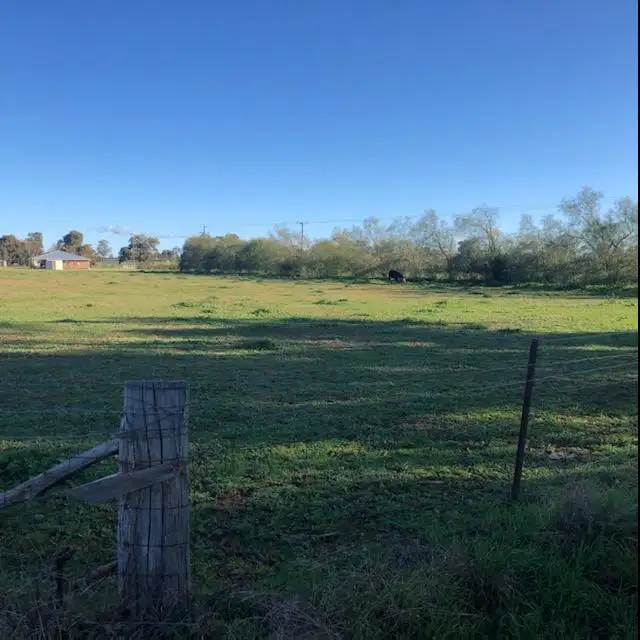 Second view of Homely rural property listing, Lot 13 Back Yamma, Parkes NSW 2870