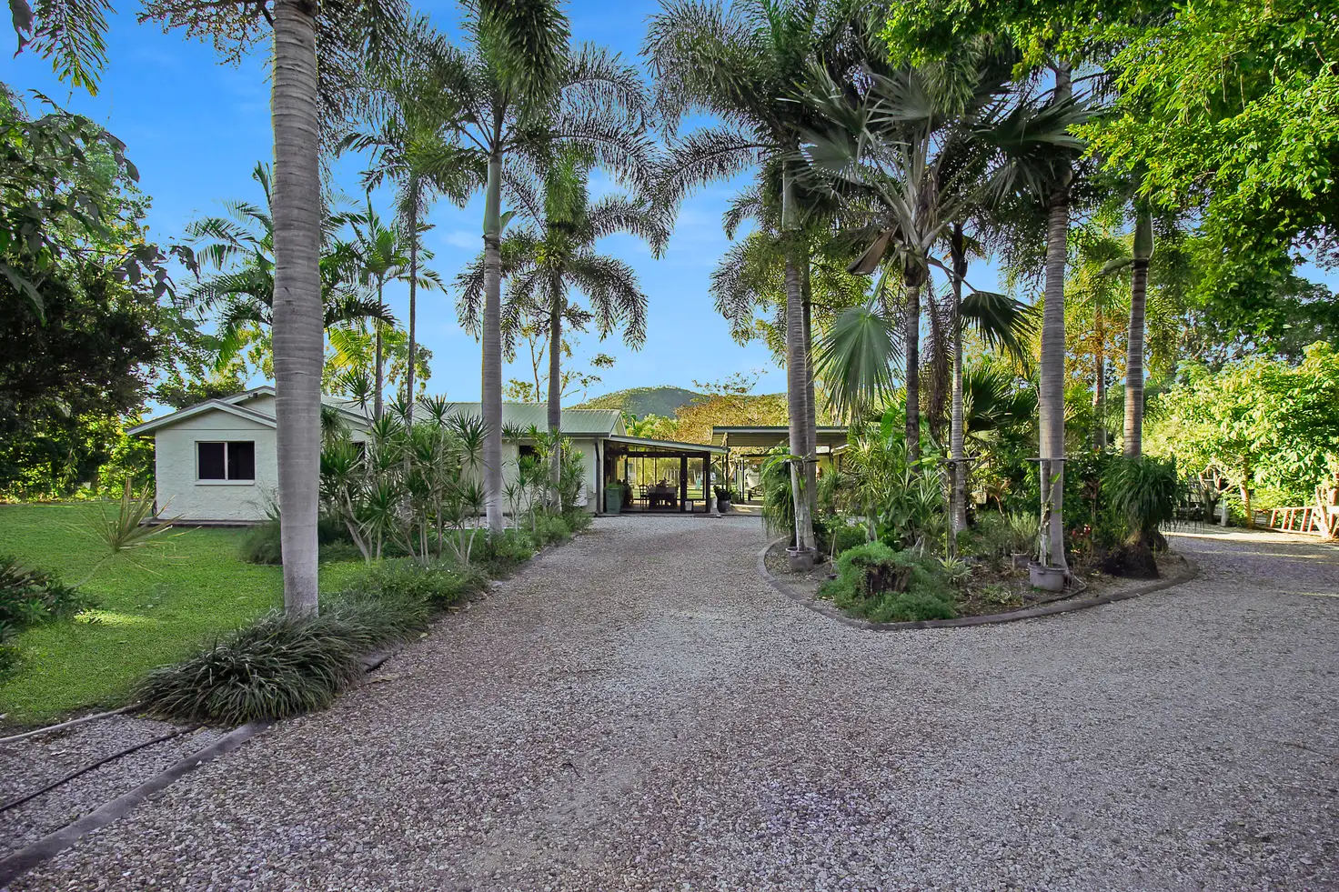 Main view of Homely rural property listing, 59 Country Road, Nome QLD 4816