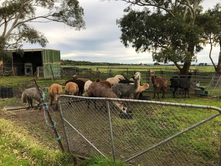 Third view of Homely rural property listing, 36 Lawsons Rd, Toora VIC 3962