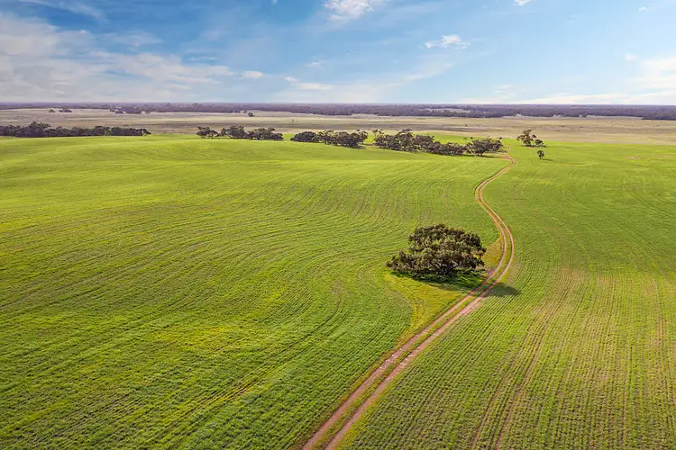 Sixth view of Homely rural property listing, 3483 Nowhere Else Road, Tooligie SA 5607