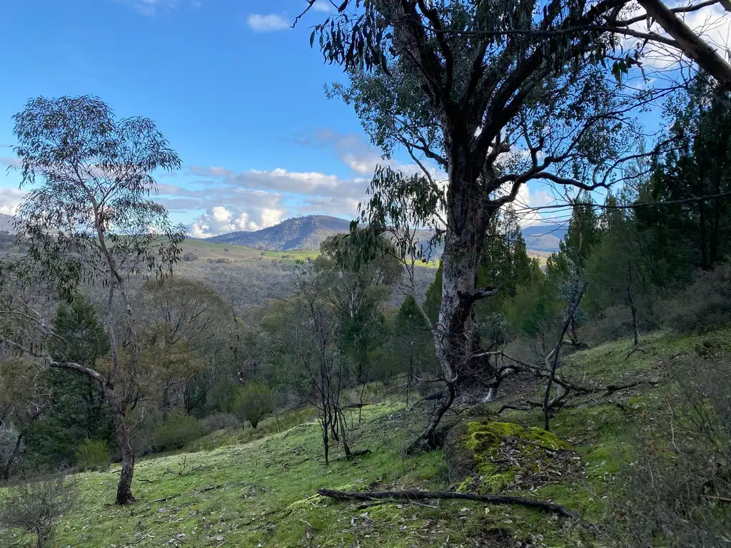 Main view of Homely rural property listing, 73 TUNNEL ROAD, Talmalmo NSW 2640