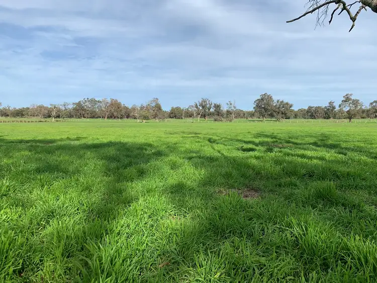 Main view of Homely rural property listing, 16184 South Western Highway, North Boyanup WA 6237