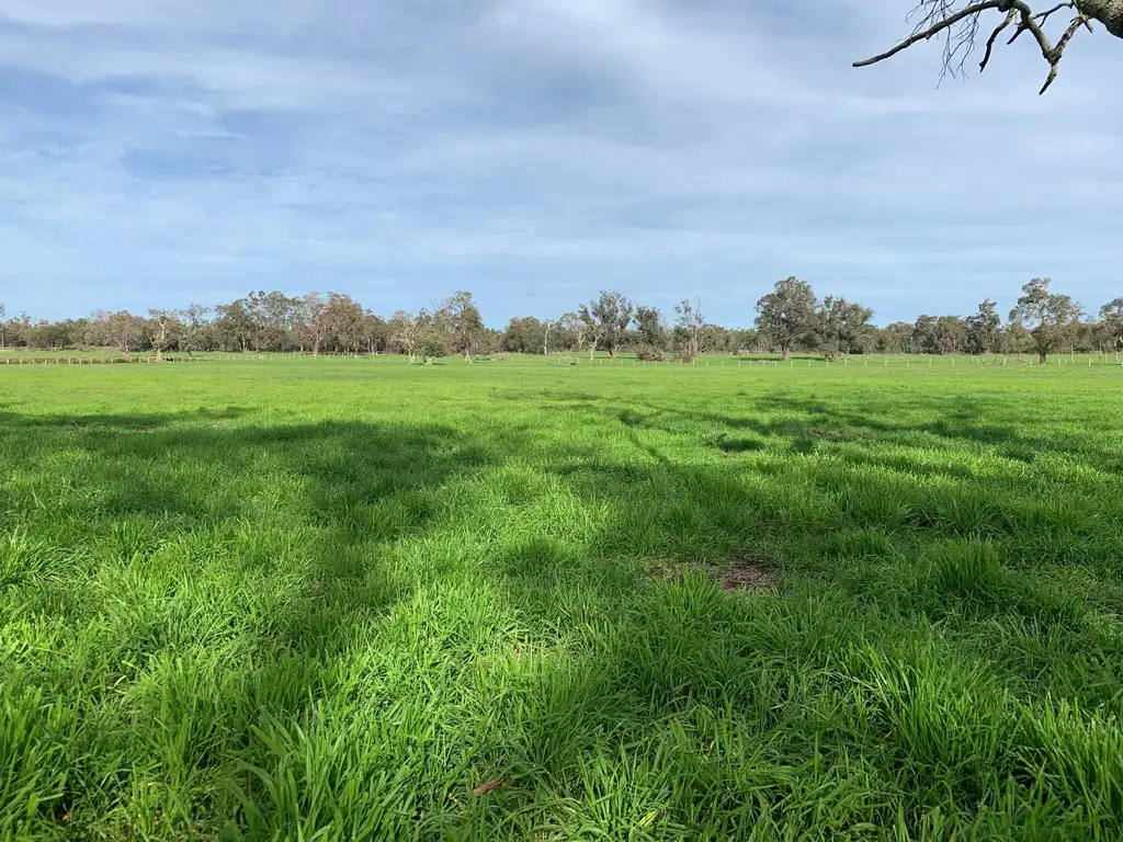 Main view of Homely rural property listing, 16184 South Western Highway, North Boyanup WA 6237