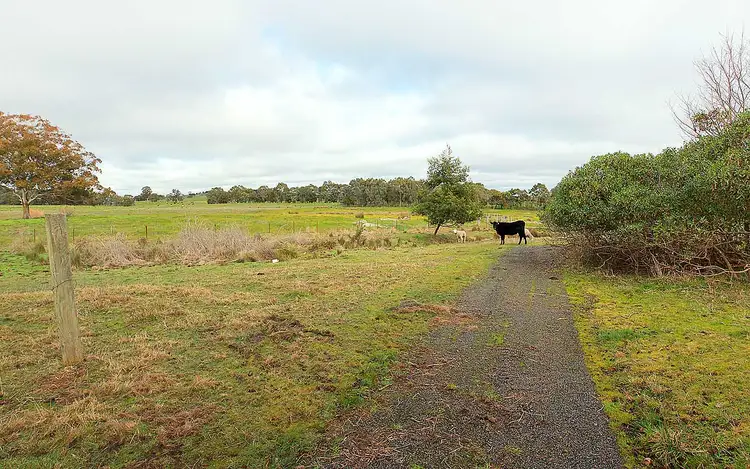 Third view of Homely rural property listing, 1784 Longwood Ruffy Rd, Ruffy VIC 3666