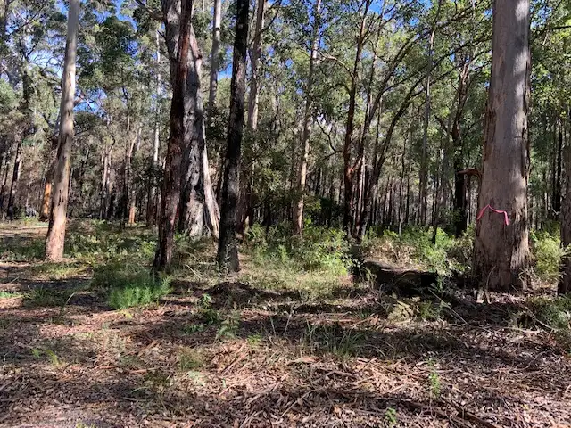 Third view of Homely land listing, LOT 23 KARRI LANE, Quinninup WA 6258