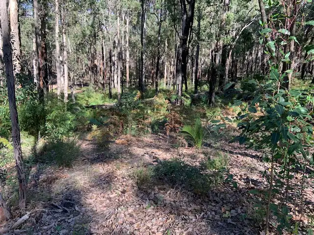 Fifth view of Homely land listing, LOT 23 KARRI LANE, Quinninup WA 6258