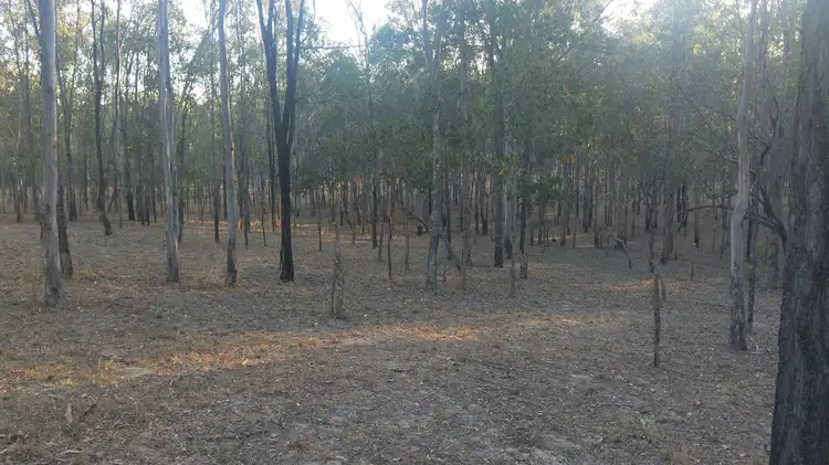 Seventh view of Homely rural property listing, Lot 50 WONBAH, Wonbah QLD 4671
