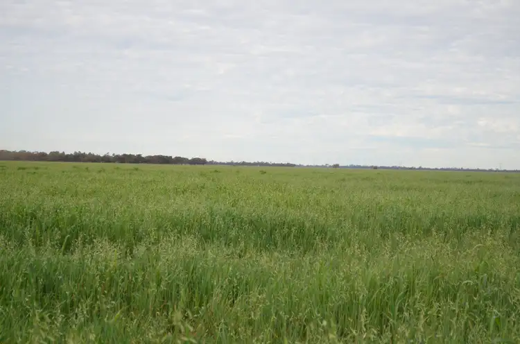 Second view of Homely rural property listing, 1 Devlins Bridge Road, Narrandera NSW 2700