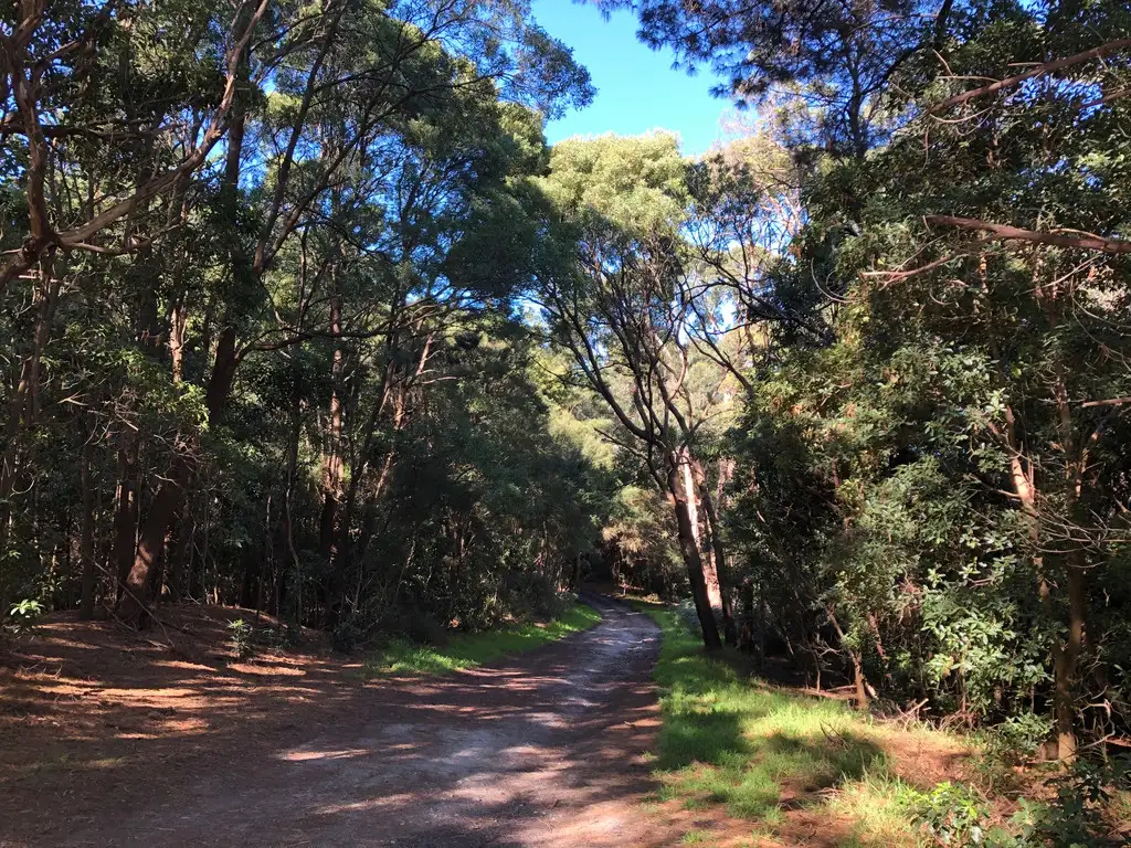 Main view of Homely land listing, 36 Hall Rd, Foster VIC 3960