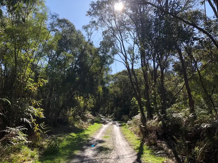 38 Hall Rd, Foster VIC 3960