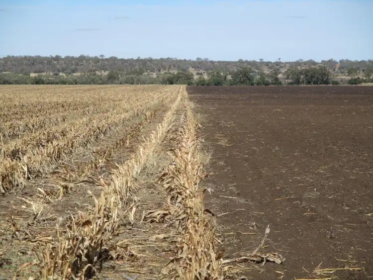 Third view of Homely rural property listing, 240 ACRES GRAIN & GRAZING, Bell QLD 4408