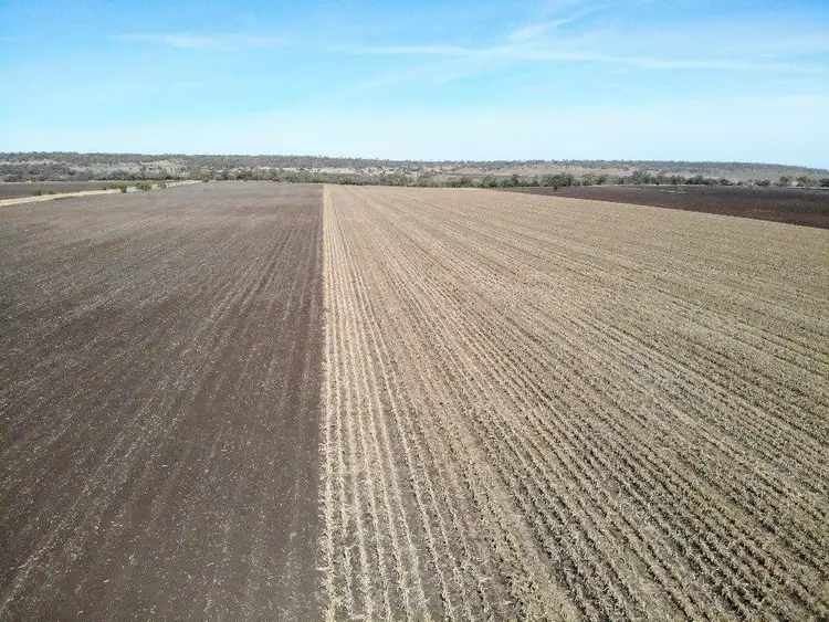 Fifth view of Homely rural property listing, 240 ACRES GRAIN & GRAZING, Bell QLD 4408