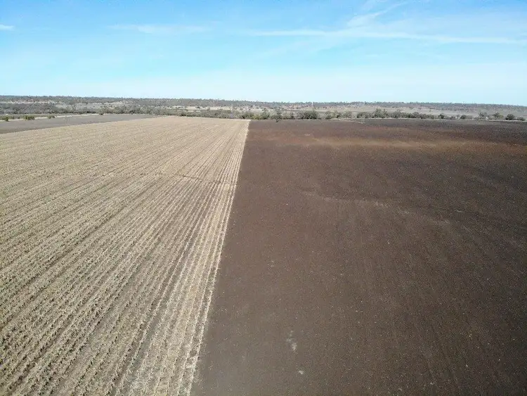 Sixth view of Homely rural property listing, 240 ACRES GRAIN & GRAZING, Bell QLD 4408