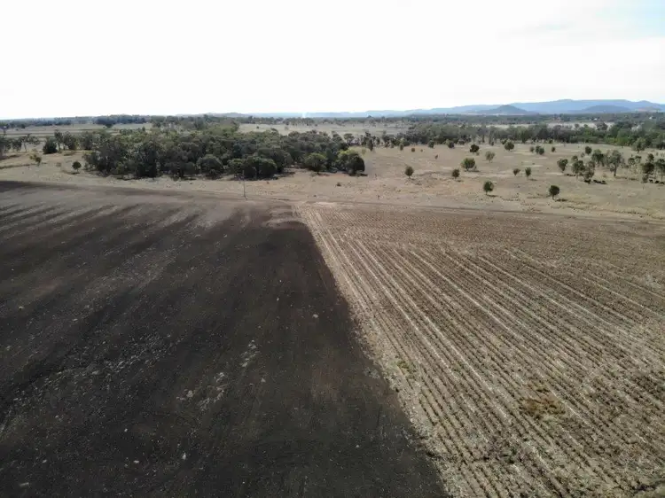 Seventh view of Homely rural property listing, 240 ACRES GRAIN & GRAZING, Bell QLD 4408