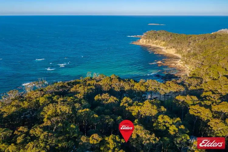 Main view of Homely house listing, 29 Denise Drive, Lilli Pilli NSW 2536