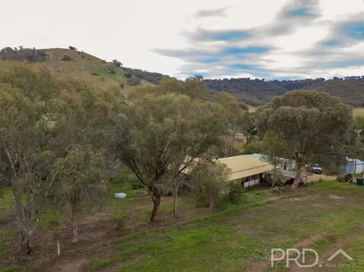 Second view of Homely house listing, 532 Grahamstown Road, Adelong NSW 2729