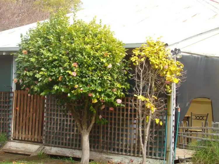 33 Padbury Road, Bridgetown WA 6255