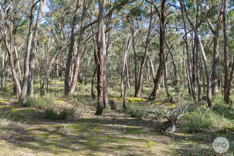 Third view of Homely land listing, LOT 2 Donald McLeans Road, Berringa VIC 3351